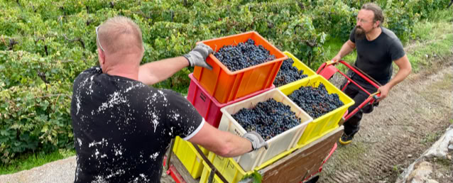 Drone agricole de Damien  de VIN DE LA FAMILLE FISCHLI les vendanges