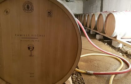 Photos gratuites de alcool, architecture, barils en chêne