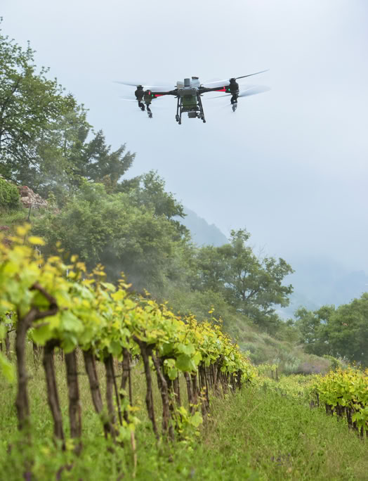 Une grange rustique en bois avec des tonneaux de vin empilés à l'extérieur par une journée nuageuse.