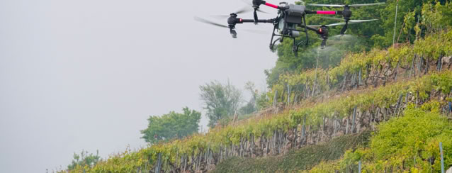 Drone agricole de Damien  de VIN DE LA FAMILLE FISCHLI