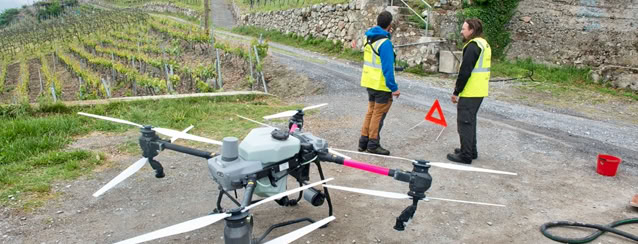 Drone agricole de Damien  de VIN DE LA FAMILLE FISCHLI drone à terre